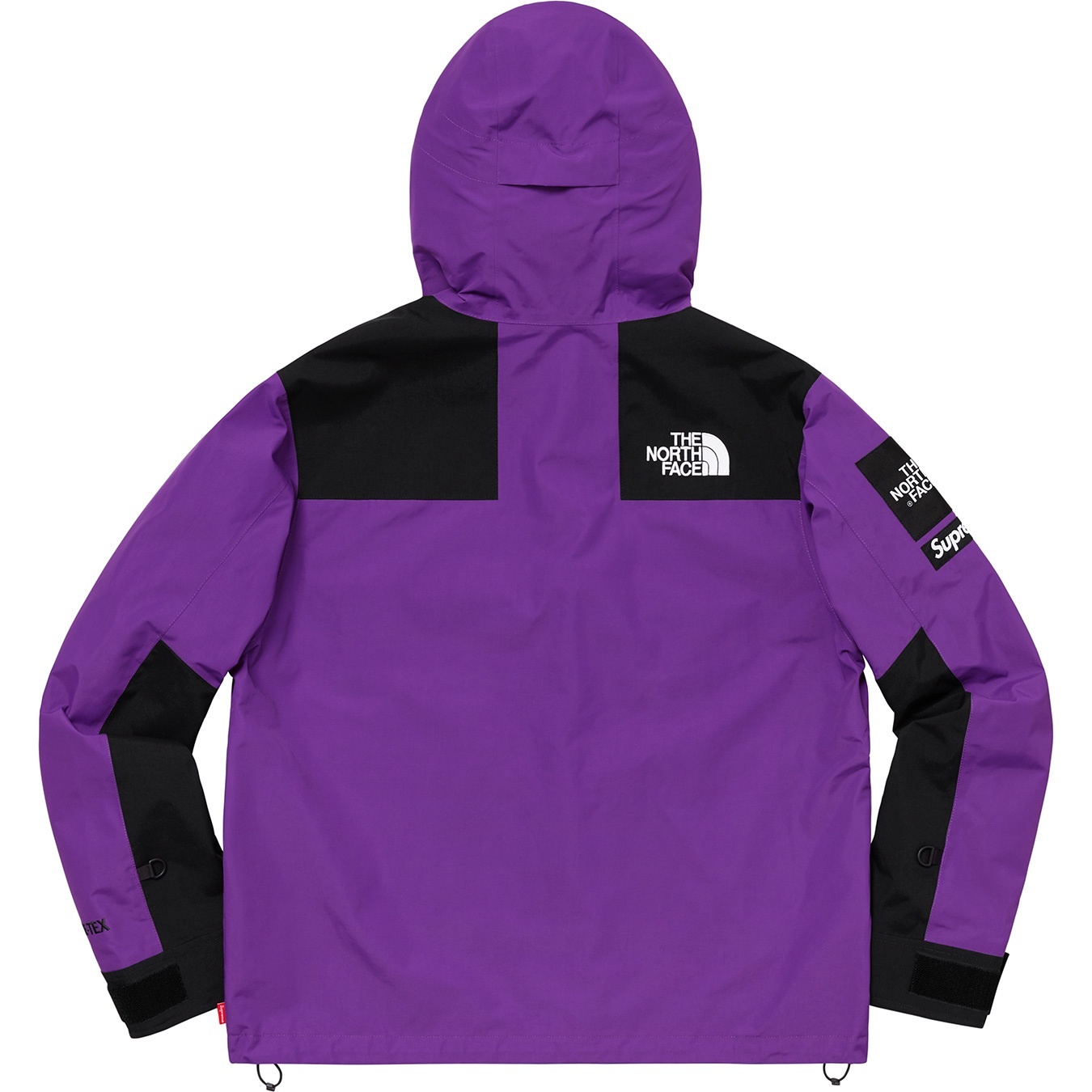 Supreme®/The North Face® Arc Logo Mountain Parka view 5